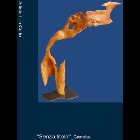 76 b.jpg